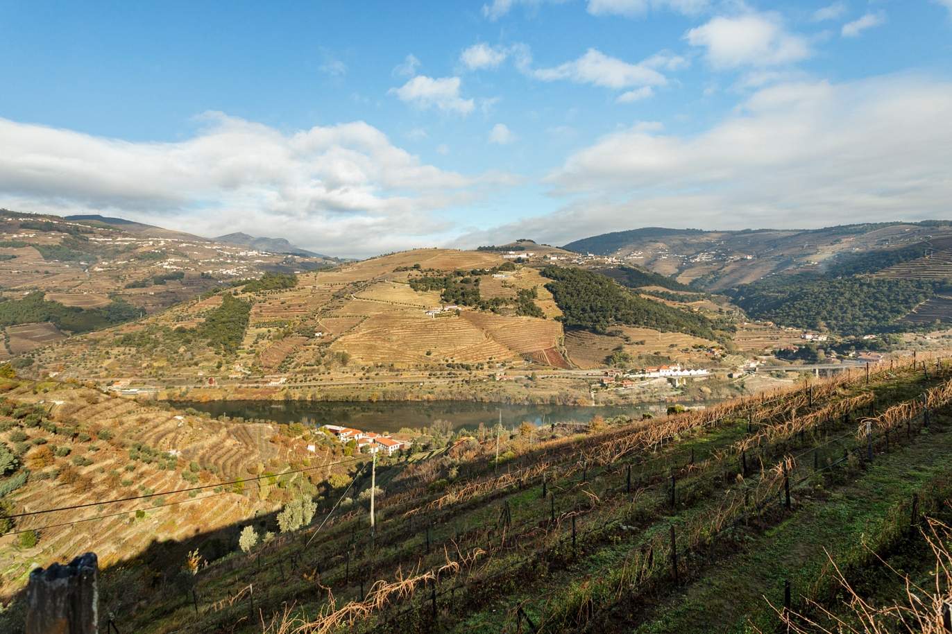 Vignoble à vendre dans le Valée du Douro, à Penajoia, Lamego, dans le nord du Portugal_188304