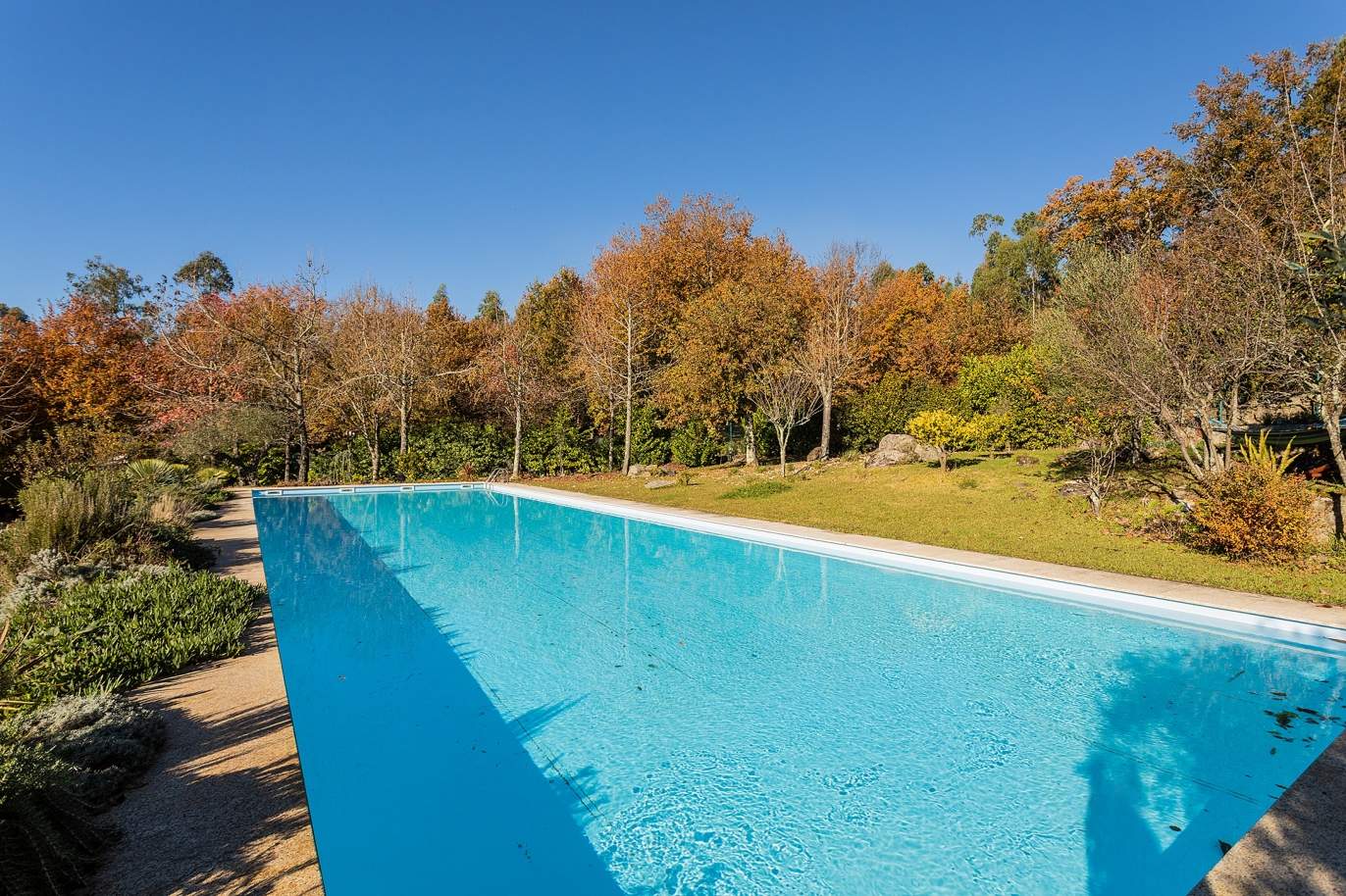 Vendre : Ferme avec maison de campagne, piscine et jardin, à Guimarães, Nord du Portugal_188509