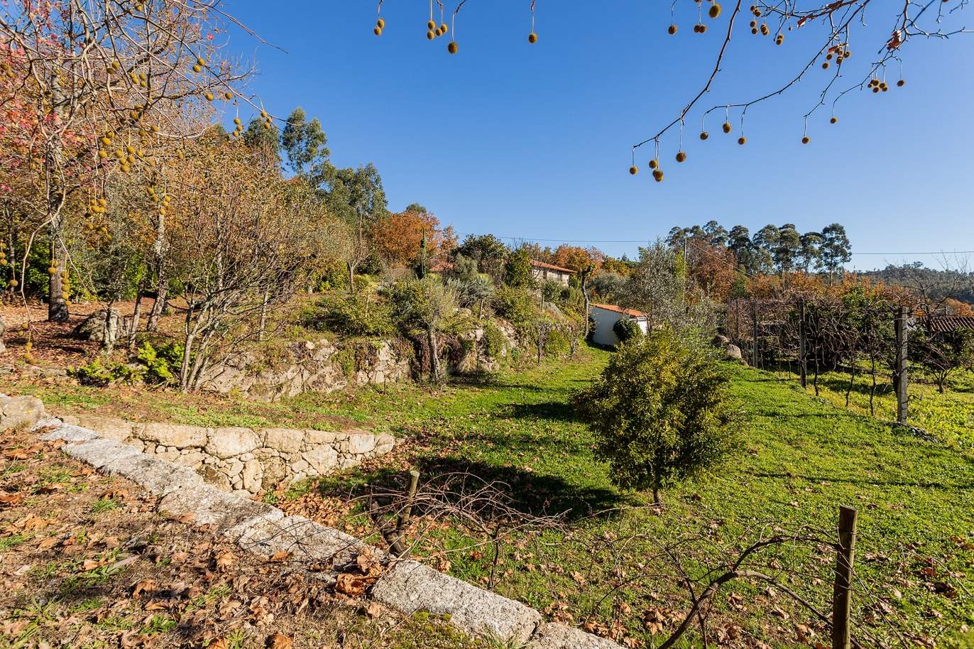 Selling: Farm with country house, swimming pool and garden, in Guimarães, North Portugal_188529