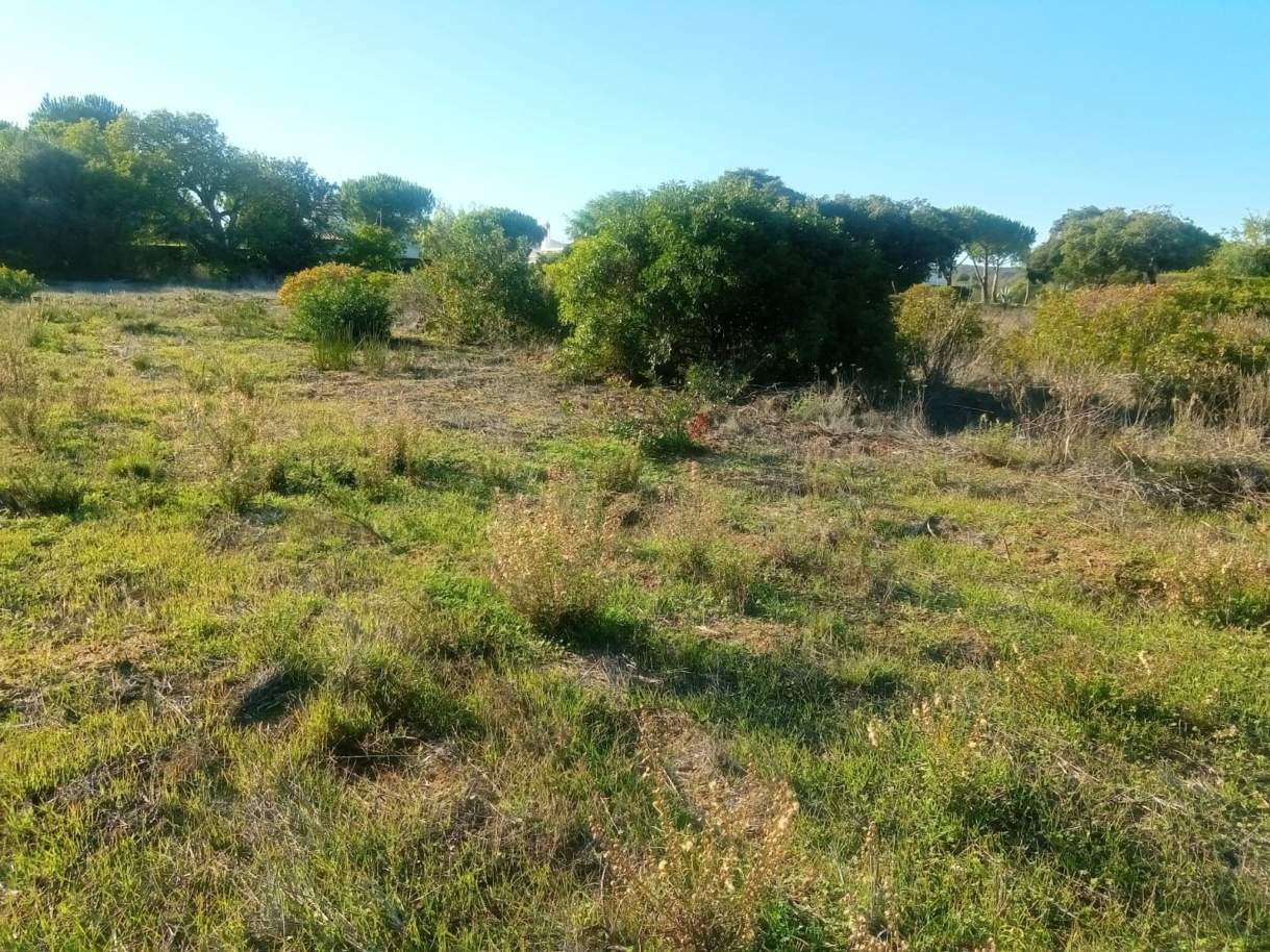 Rustic land, next to the Eco Resort Alma Verde, Budens, Vila do Bispo, Algarve_189086