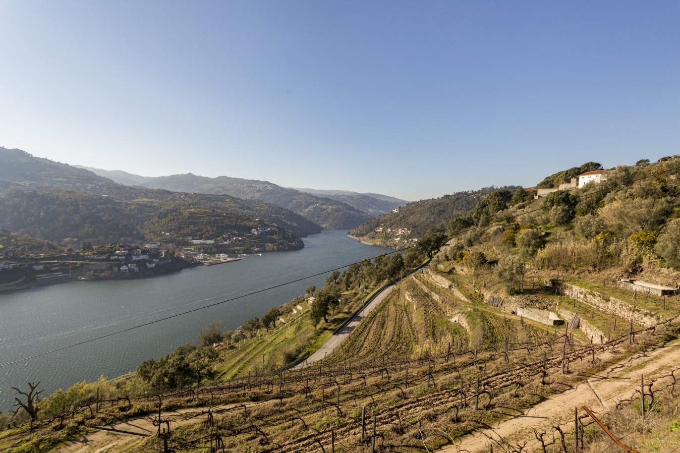 Vineyard with river views, for sale, in the Douro, Baião, North Portugal_191507