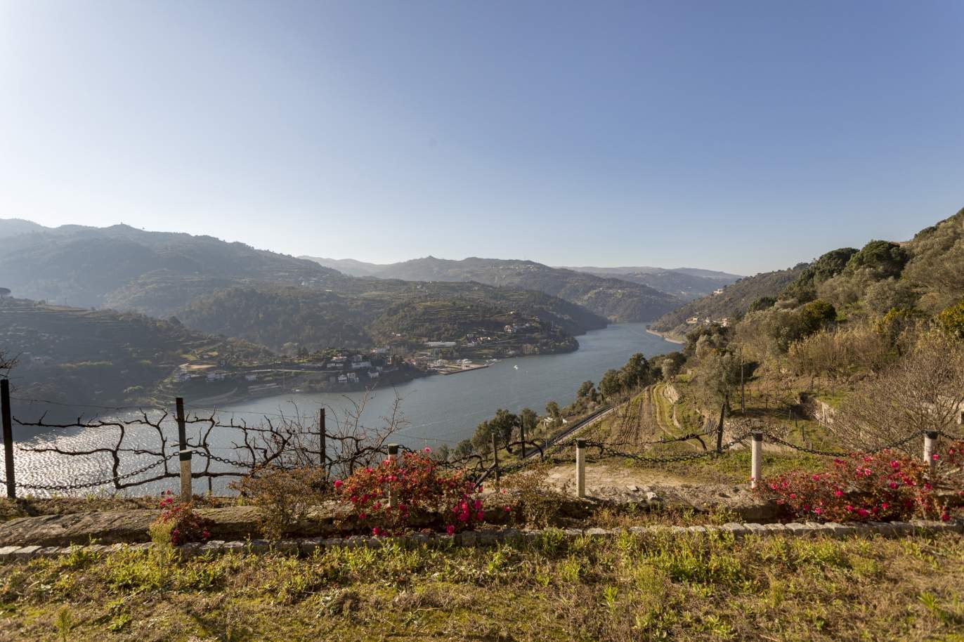 Ferme viticole avec vue sur le fleuve, à vendre, dans le Douro, Baião, Nord du Portugal_191508