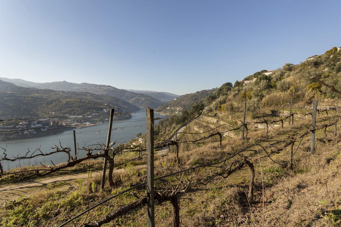 Ferme viticole avec vue sur le fleuve, à vendre, dans le Douro, Baião, Nord du Portugal_191510