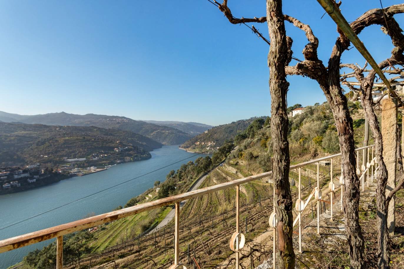 Ferme viticole avec vue sur le fleuve, à vendre, dans le Douro, Baião, Nord du Portugal_191596