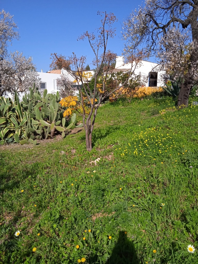 Villa de 2 chambres à coucher à rénover, à Tavira, Algarve_191889
