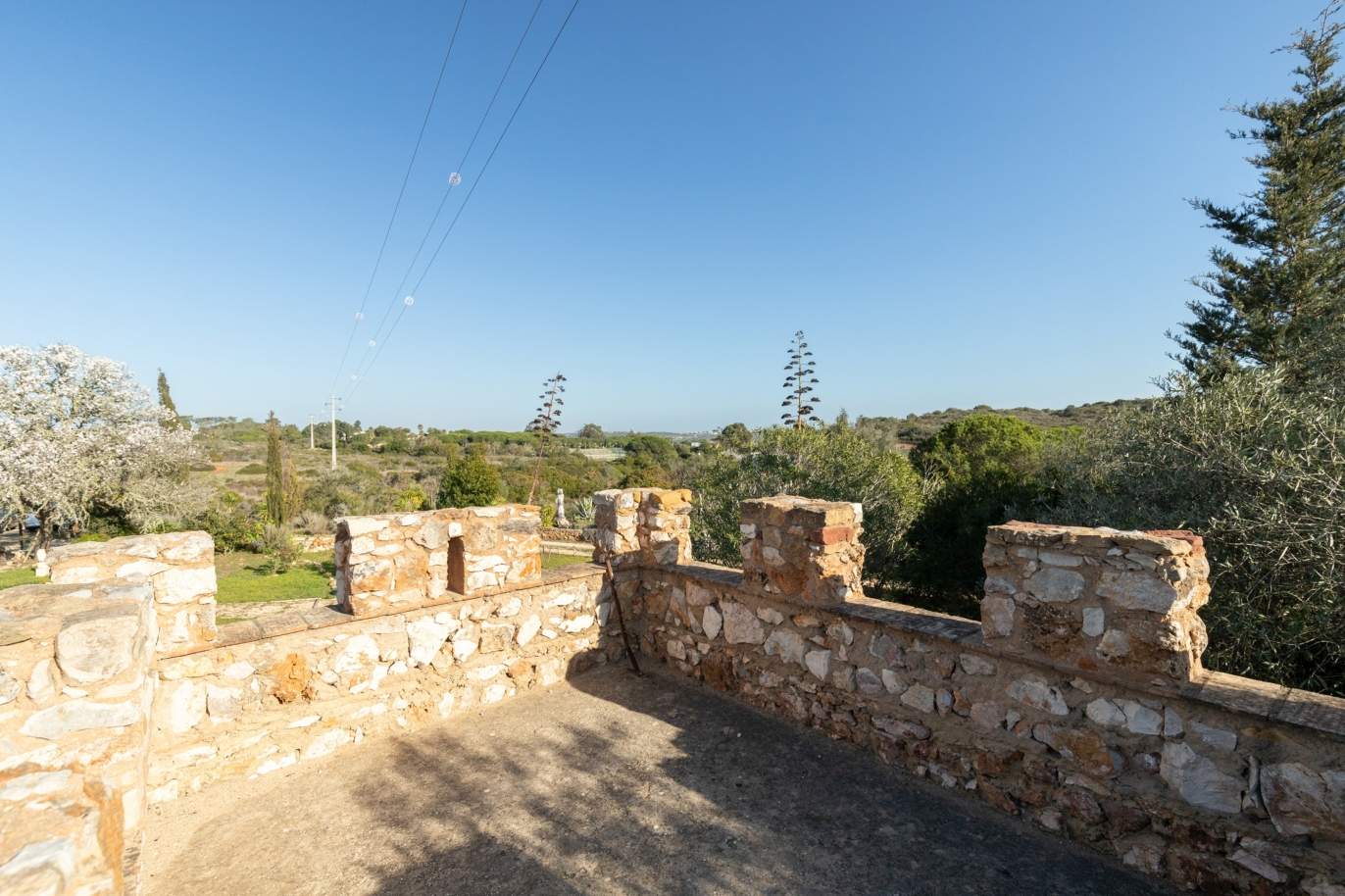 Bauernhof mit rustikaler Villa und großem Grundstück, Vila do Bispo, Algarve_192303