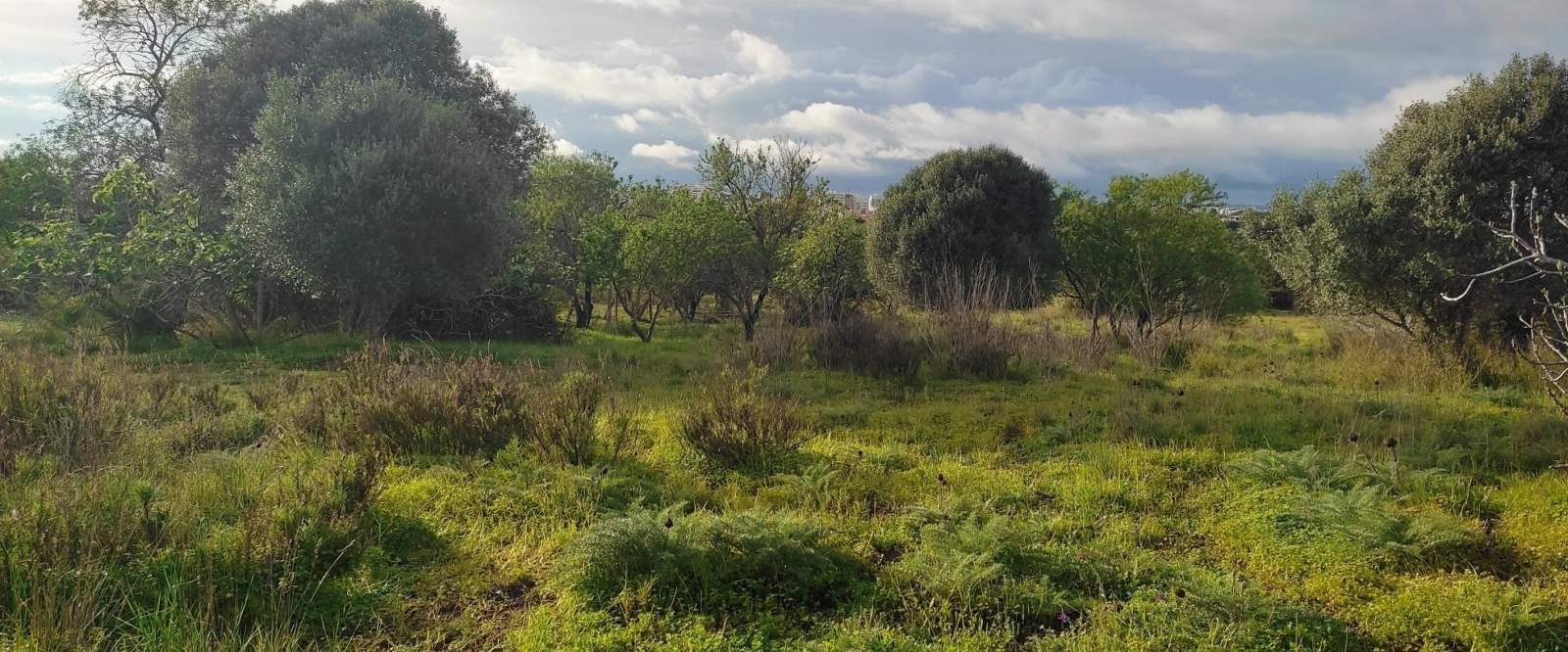 Land for sale in Portimão, Portugal — €600,000