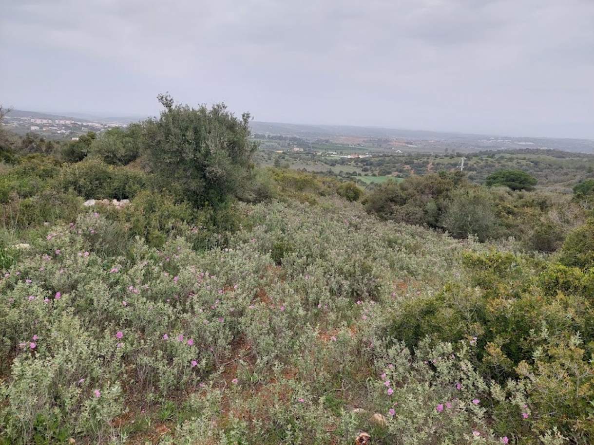 Großzügiges Grundstück in Odiáxere, Algarve, zu verkaufen_196090