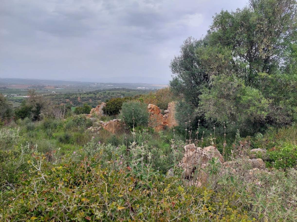 Generous plot of land, for sale, in Odiáxere, Algarve_196091