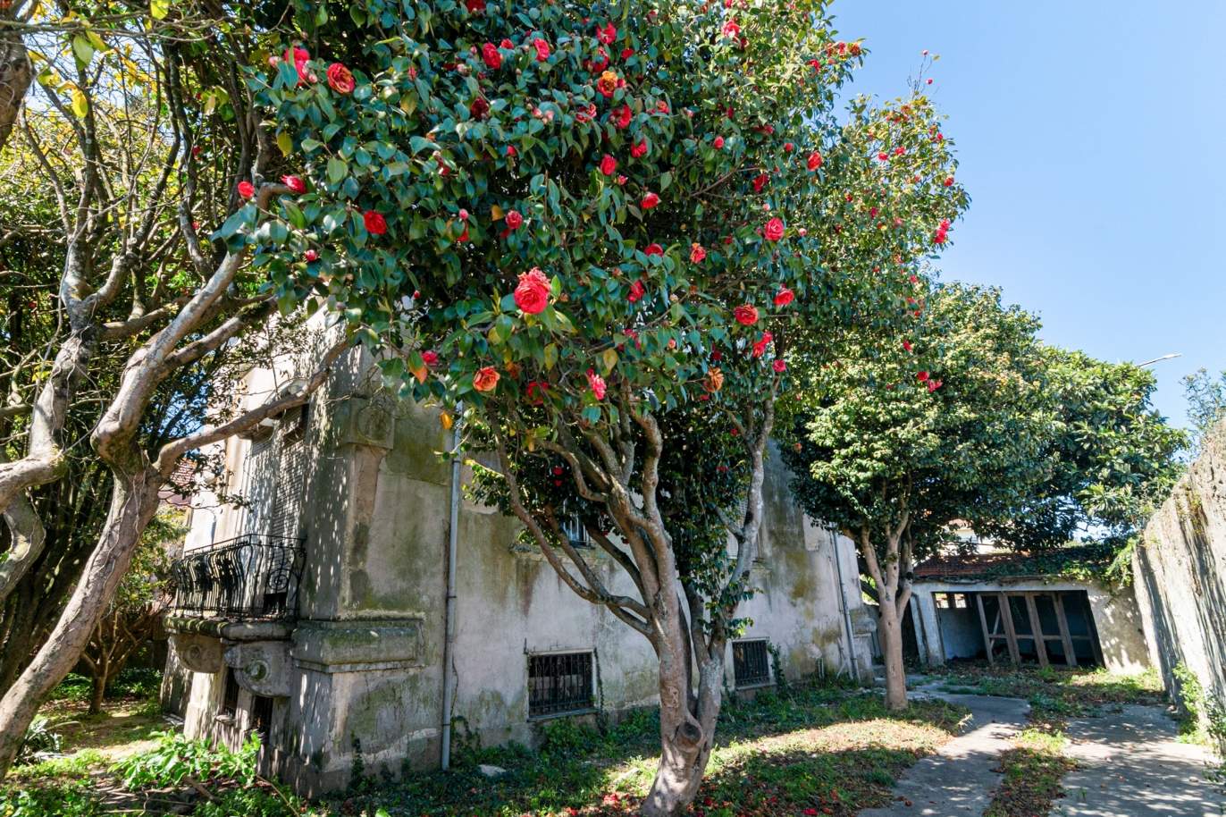 En venta: Encantador chalet con jardín, para rehabilitar, en V. N. Gaia, Oporto, Portugal_196526