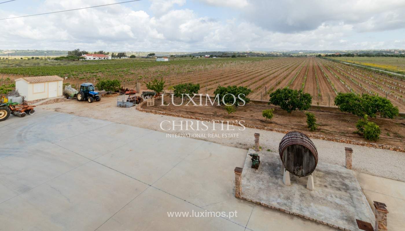 Wine farm, for sale, in Silves, Algarve_2145