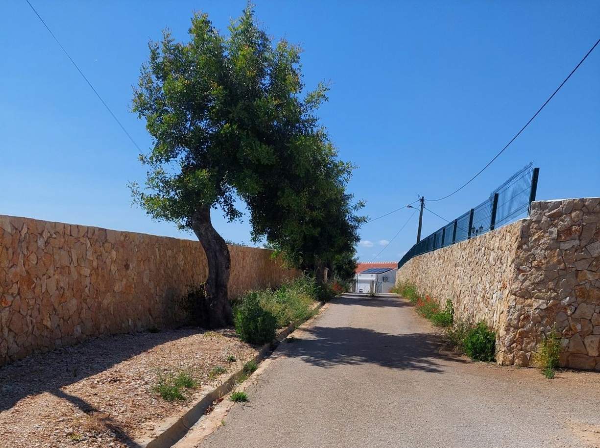 Land for construction of 3 bedroom villa, for sale, in Silves, Algarve_200000