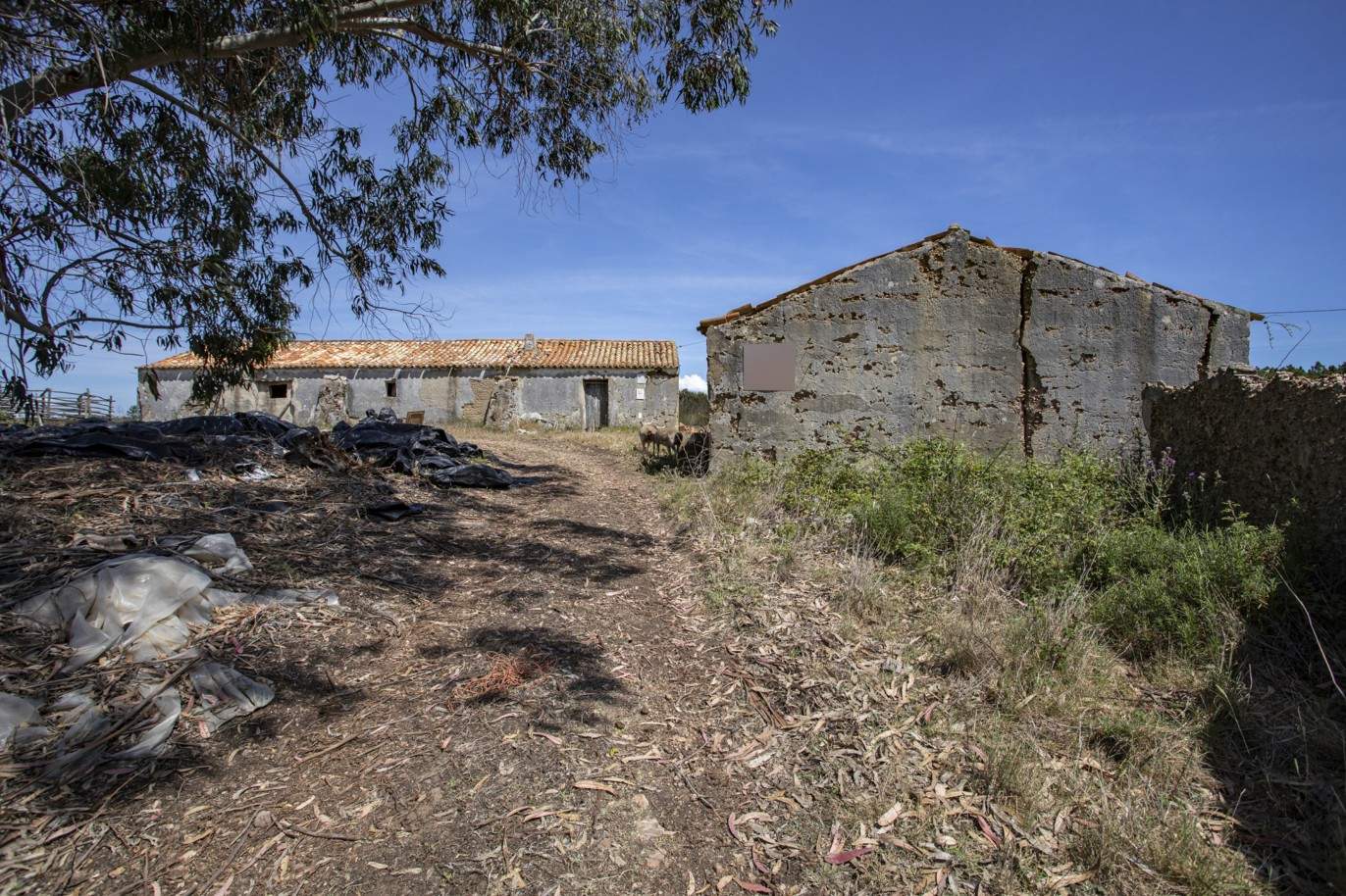 Farm with approved project, for sale in Aljezur, Algarve_200349