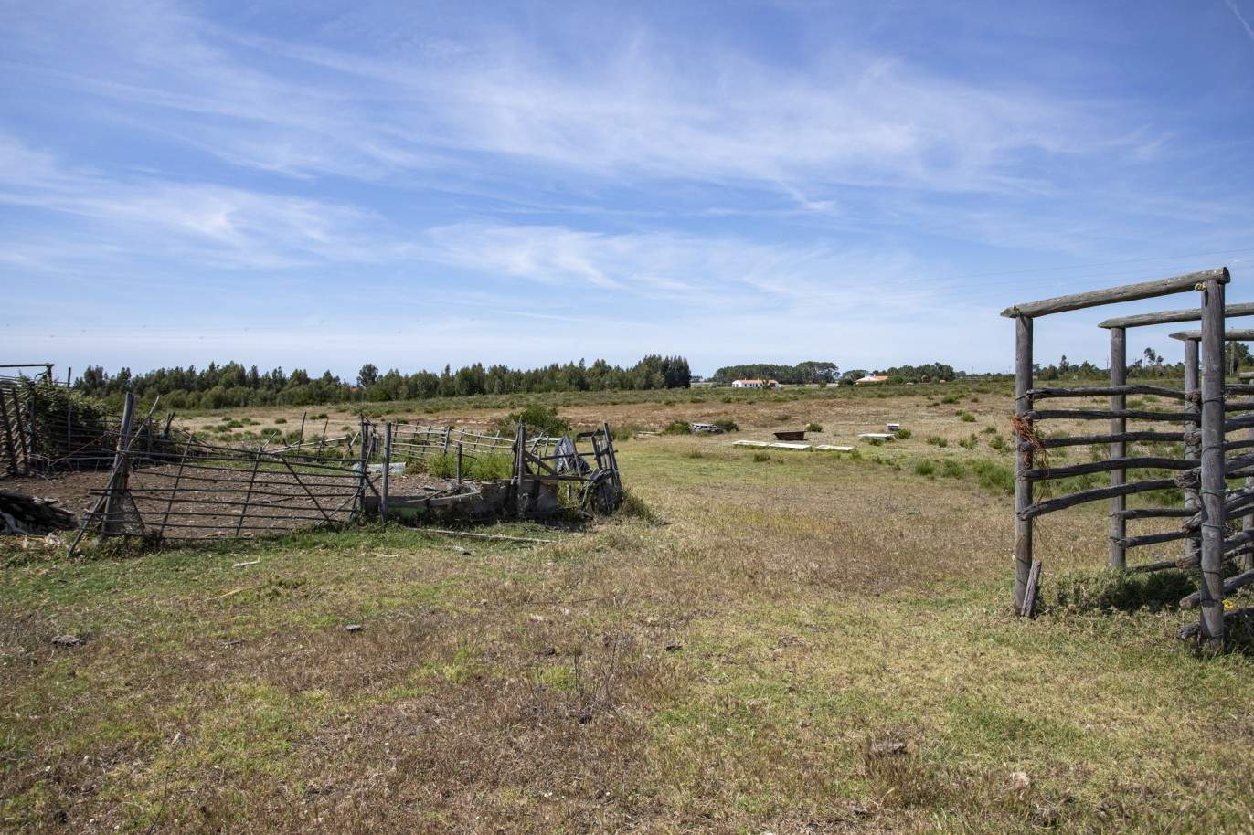 Farm with approved project, for sale in Aljezur, Algarve_200356