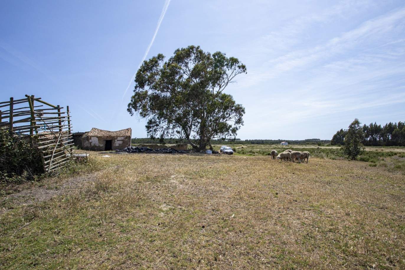Farm with approved project, for sale in Aljezur, Algarve_200359
