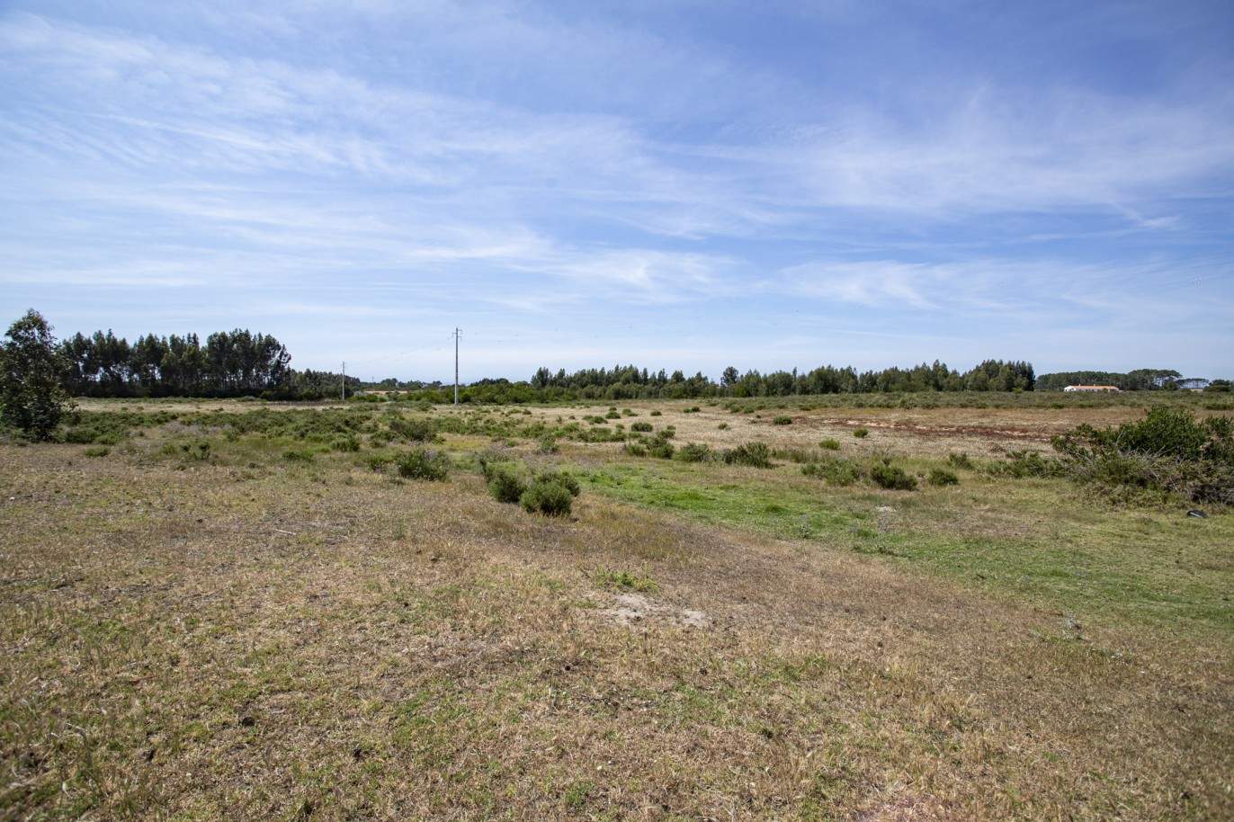 Farm with approved project, for sale in Aljezur, Algarve_200360