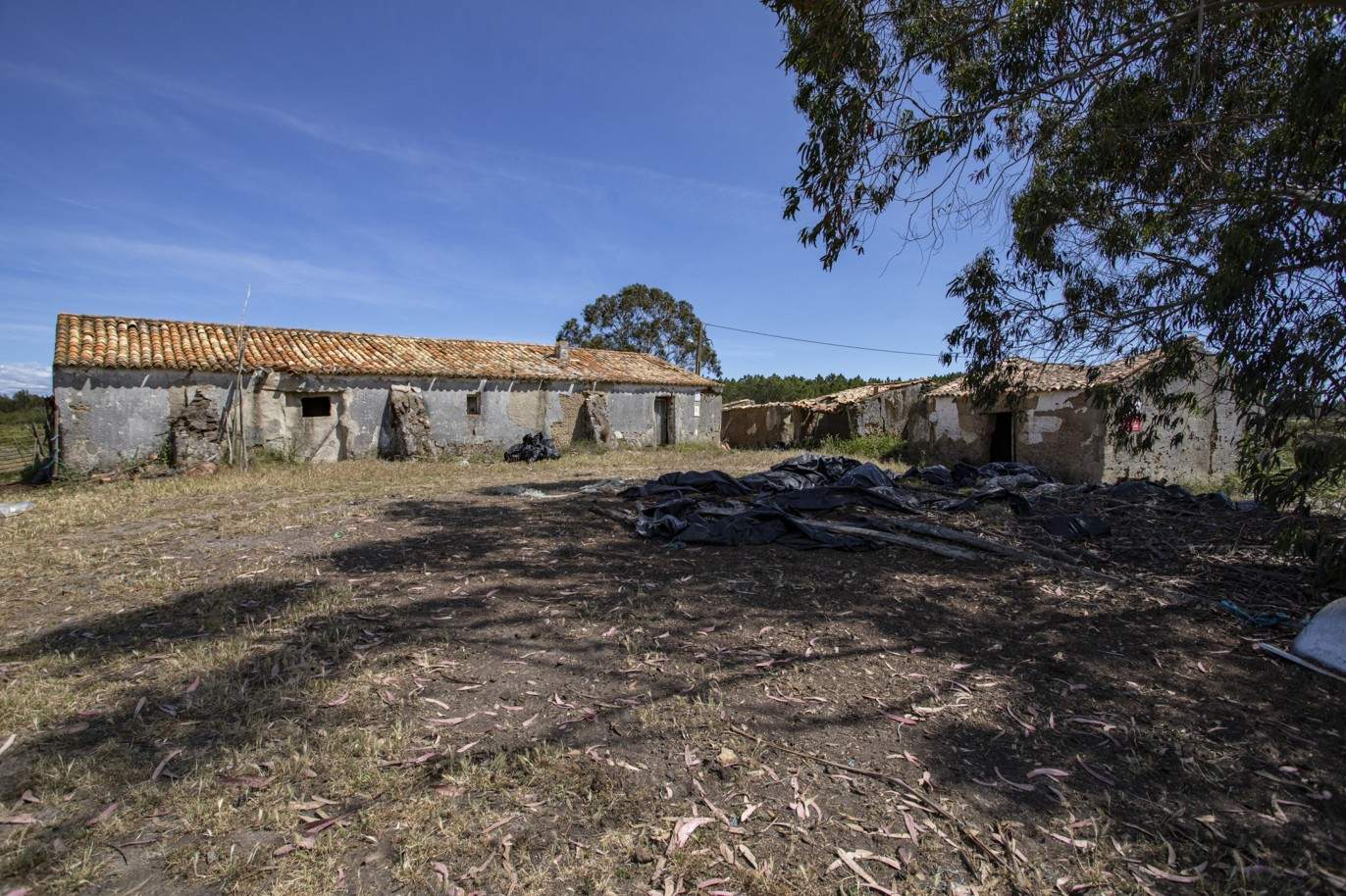 Farm with approved project, for sale in Aljezur, Algarve_200364