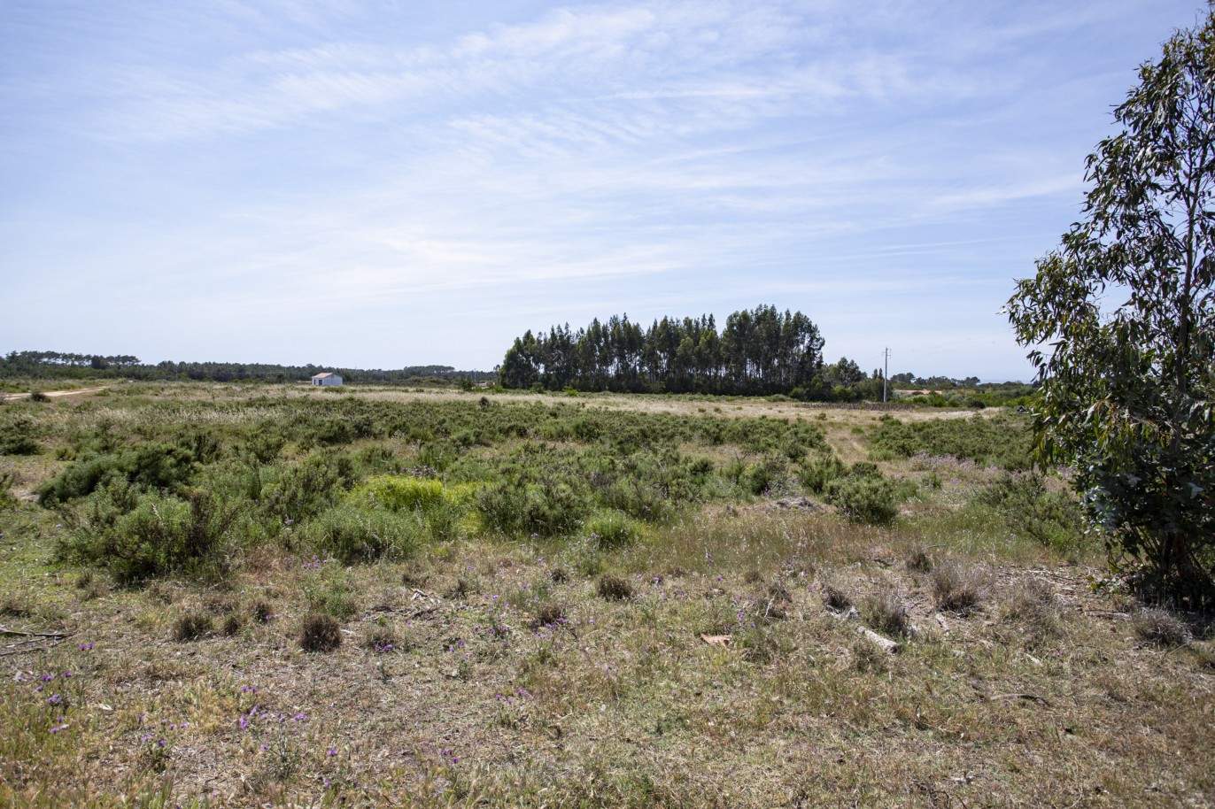 Farm with approved project, for sale in Aljezur, Algarve_200366