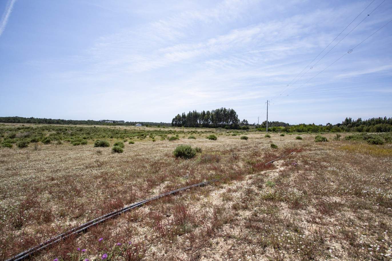 Farm with approved project, for sale in Aljezur, Algarve_200368