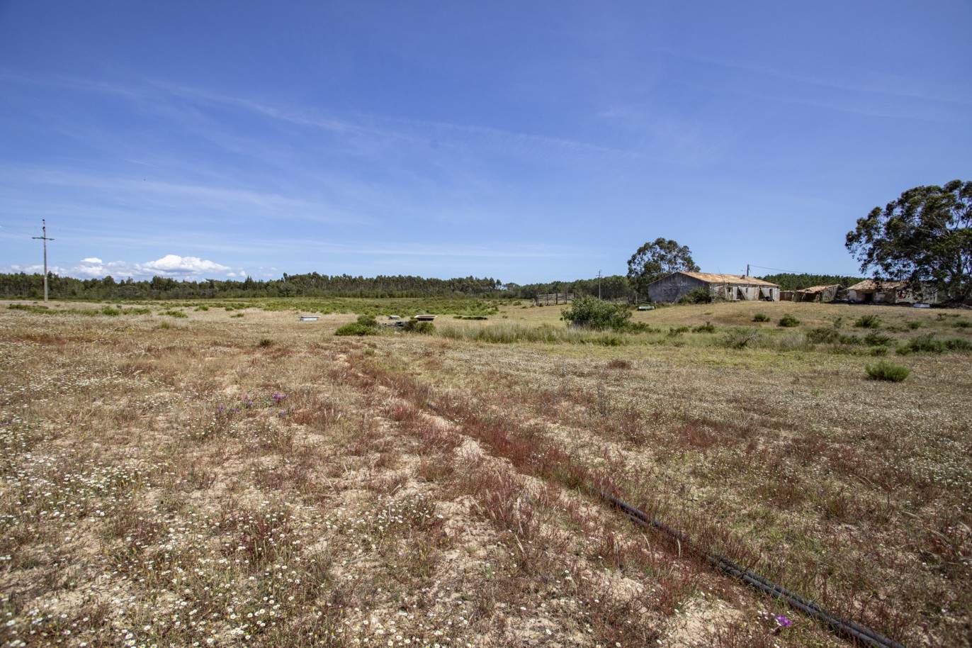 Farm with approved project, for sale in Aljezur, Algarve_200369