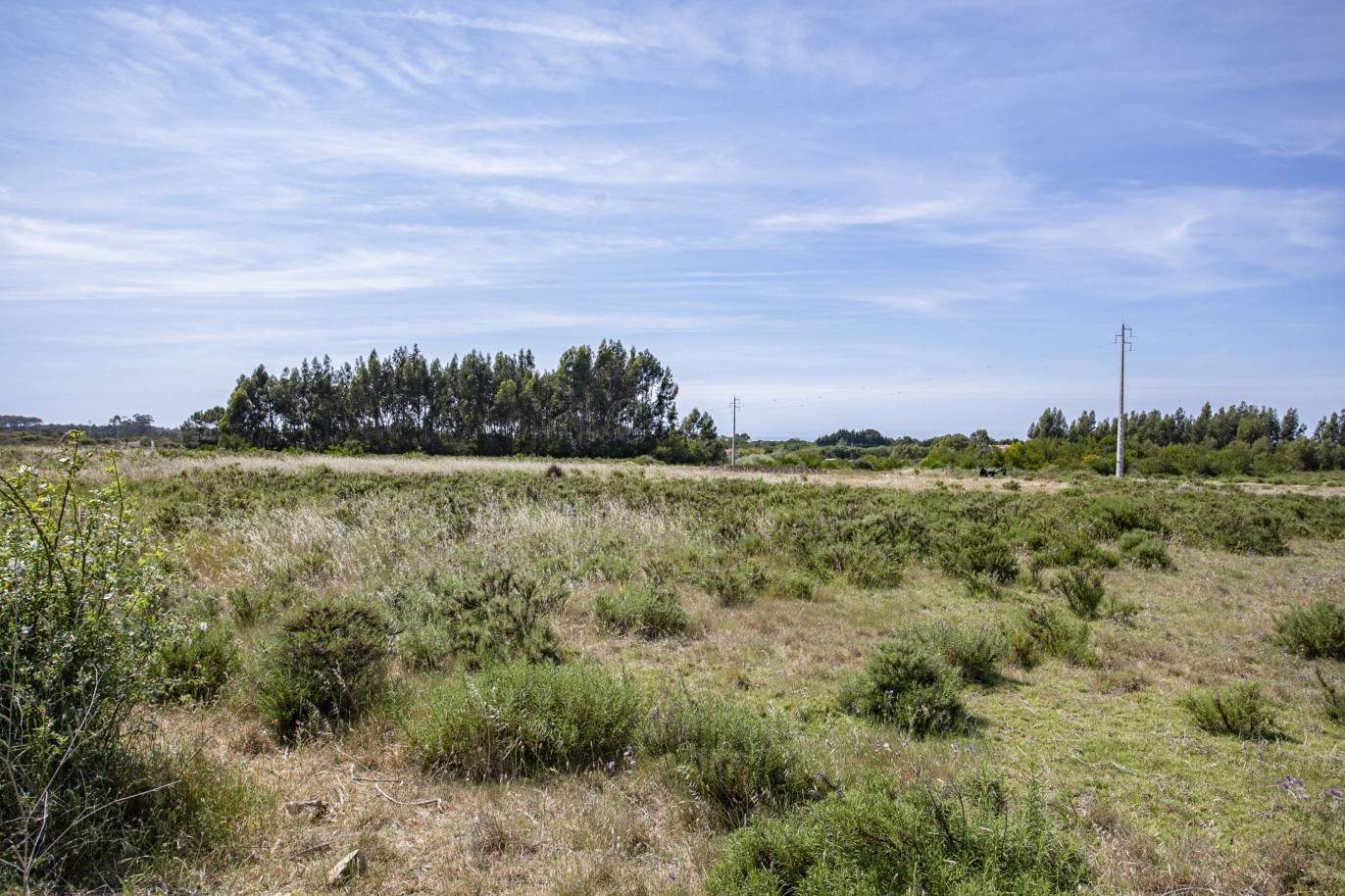 Farm with approved project, for sale in Aljezur, Algarve_200373