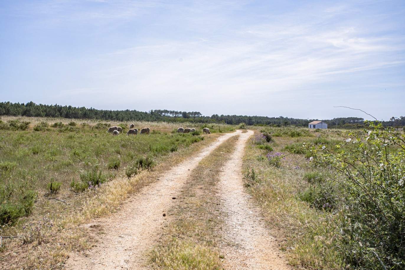 Finca con proyecto aprobado, en venta en Aljezur, Algarve_200375