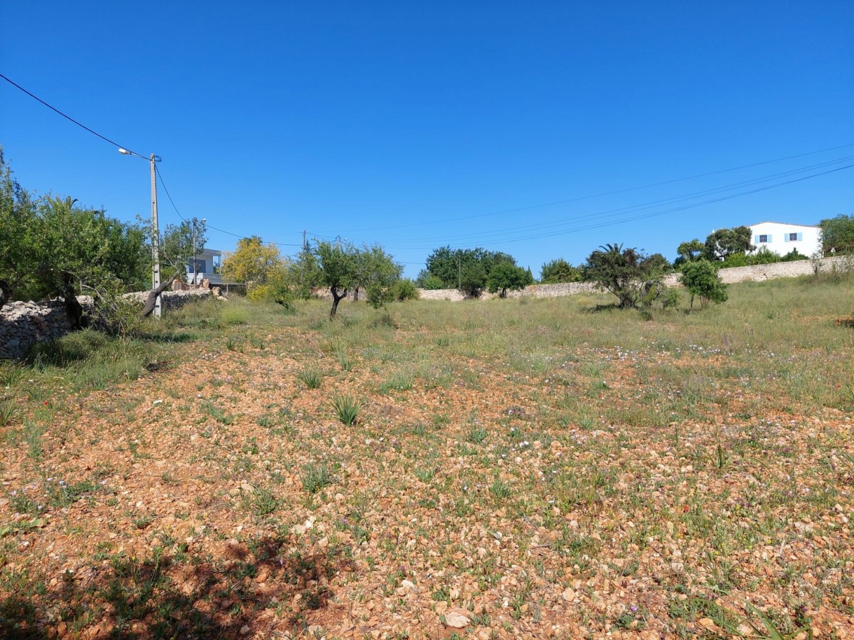 Rustic land, for sale in Patageiras, Algoz, Algarve_200612