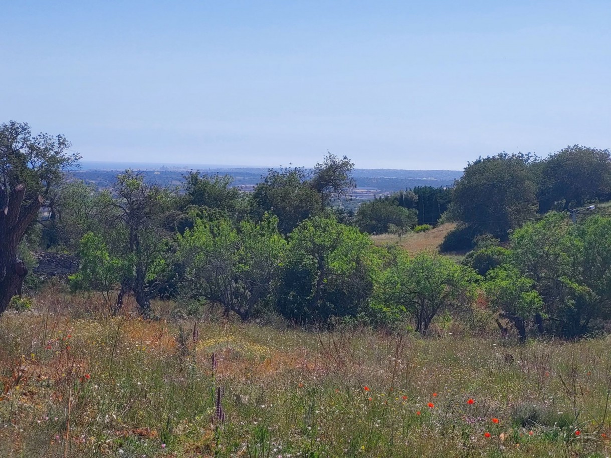 Rustic land, for sale in Patageiras, Algoz, Algarve_200613