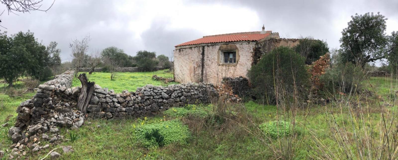Terrain avec ruine et projet approuvé, à vendre, Loulé, Algarve_200942