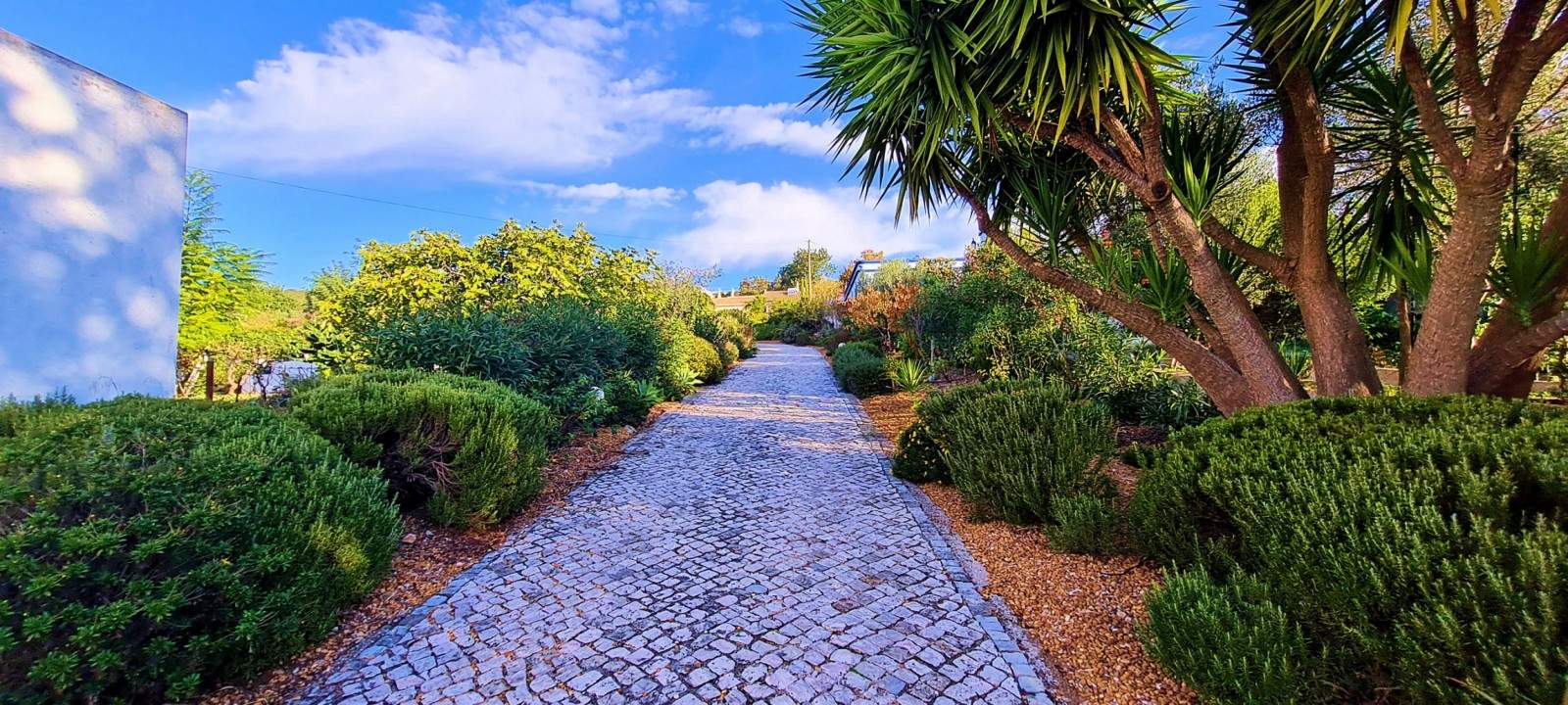 Moradia T2 com jardim, para venda, em São Brás de Alportel, Algarve_203381