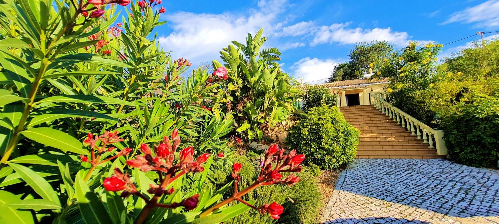 2 Schlafzimmer Villa mit Garten, zu verkaufen, in São Brás de Alportel, Algarve_203388