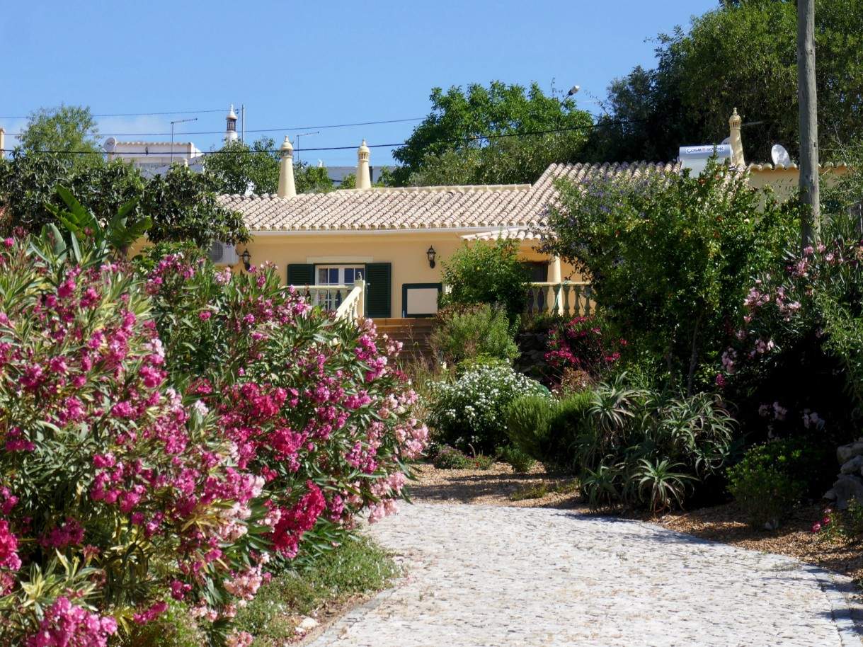 Moradia V2 com jardim, para venda, em São Brás de Alportel, Algarve_203393