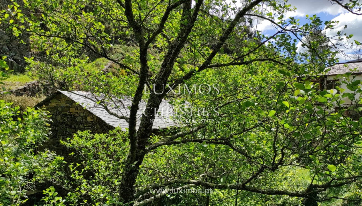 Farm/Ranch/Plantation's Image 4