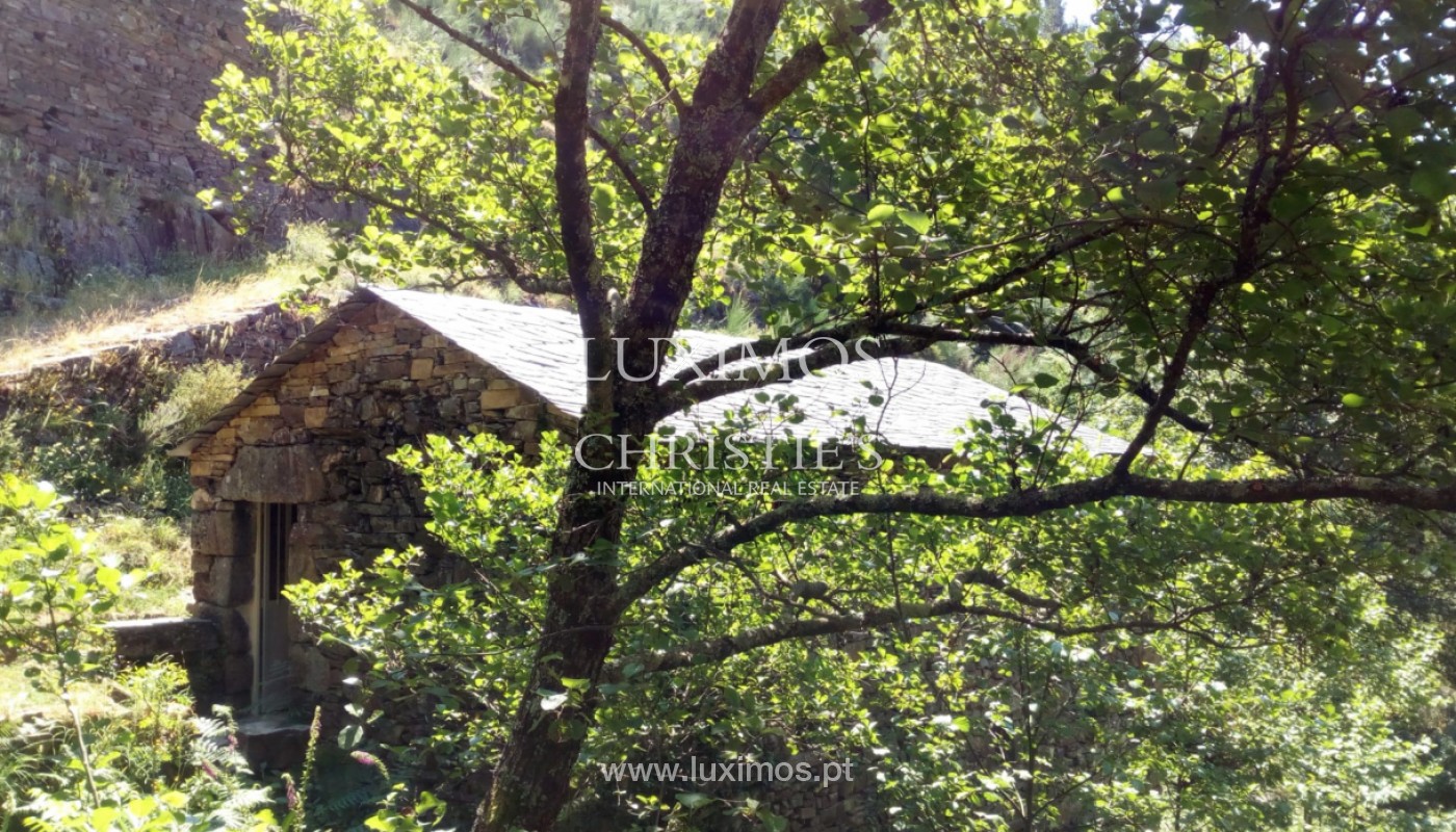 Farm/Ranch/Plantation's Image 23