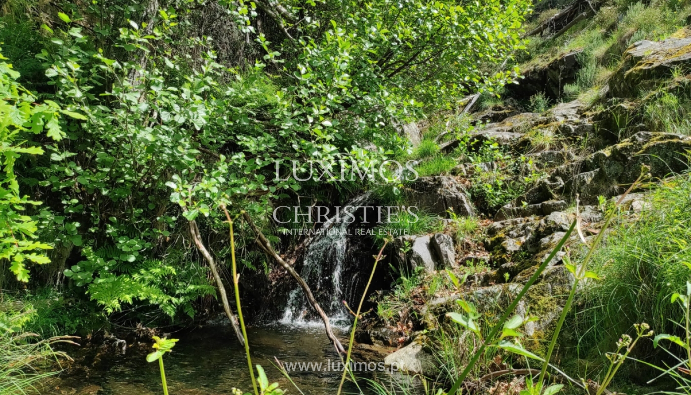 Farm/Ranch/Plantation's Image 22