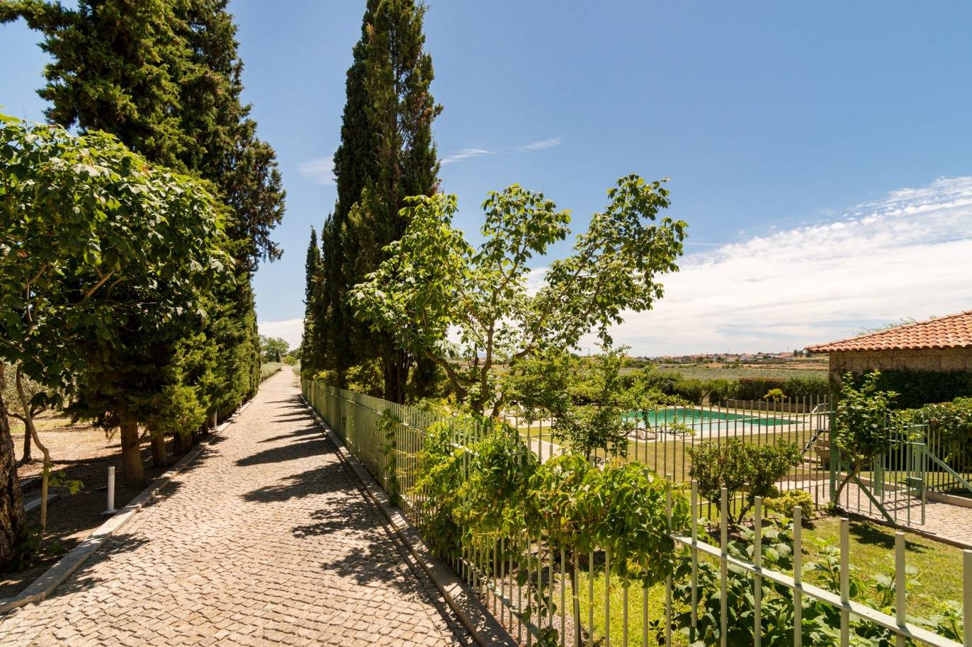 Se vende: propiedad secular con olivar, capilla, jardín y piscina, Mirandela, Norte de Portugal_204380
