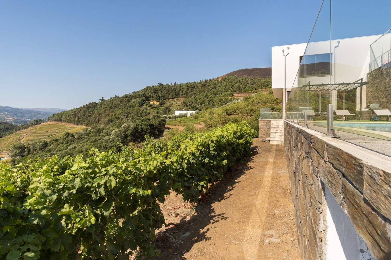 Villa avec piscine, vignobles et vues sur les montagnes, à vendre, à Baião, Nord du Portugal_208578