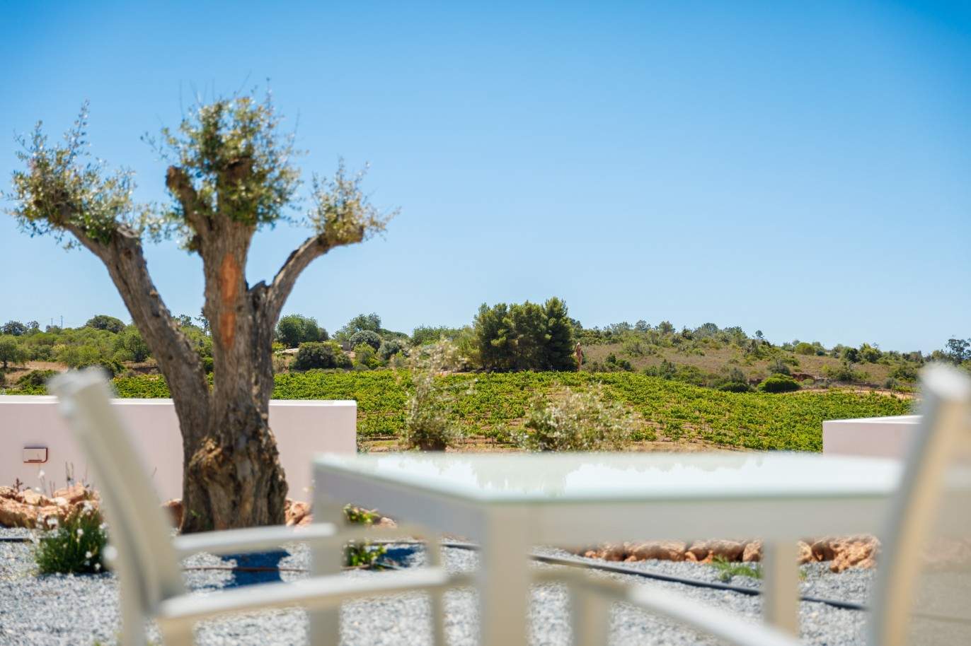 Modern 1 bedroom apartment, overlooking the vineyard hills, Lagoa, Algarve_208821