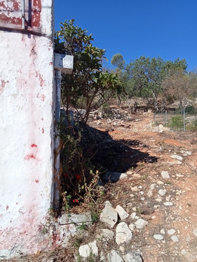 Large plot of land, for sale in Loulé, Algarve_209871