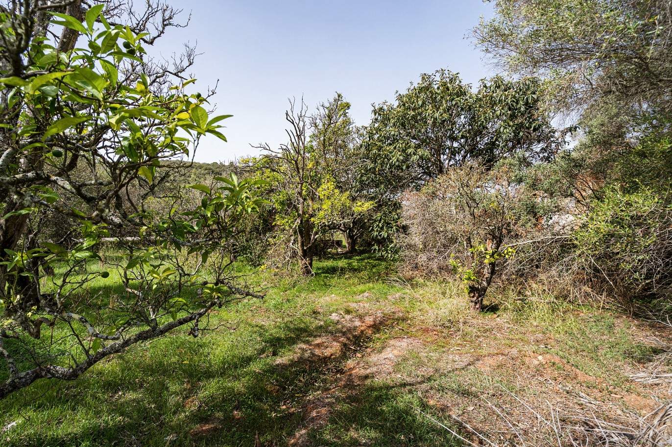 Plot with two ruins for sale in Bensafrim, Lagos, Algarve_210545