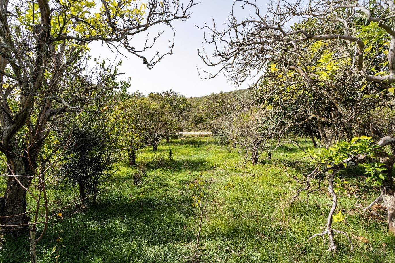 Plot with two ruins for sale in Bensafrim, Lagos, Algarve_210547