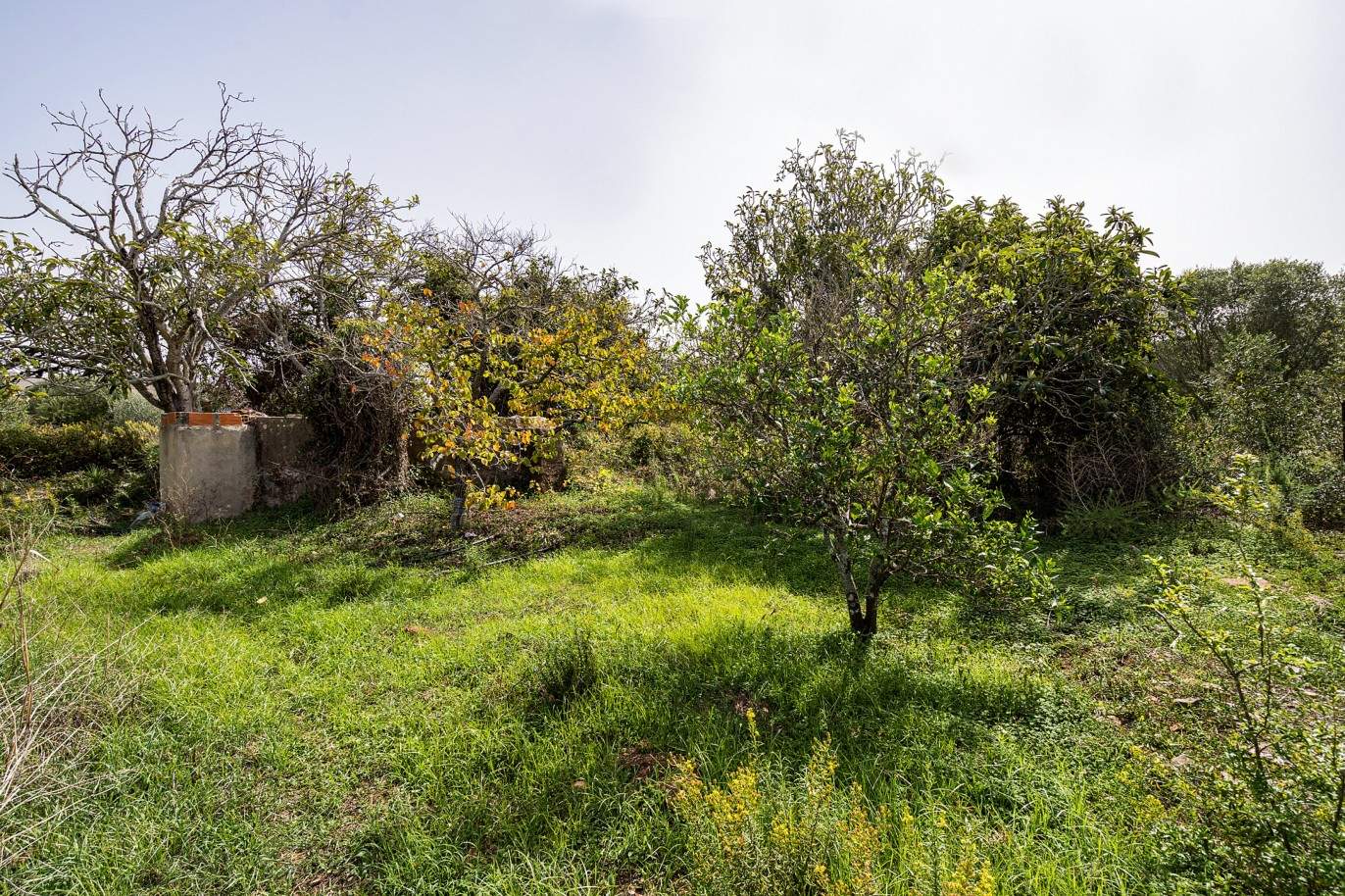 Plot with two ruins for sale in Bensafrim, Lagos, Algarve_210552