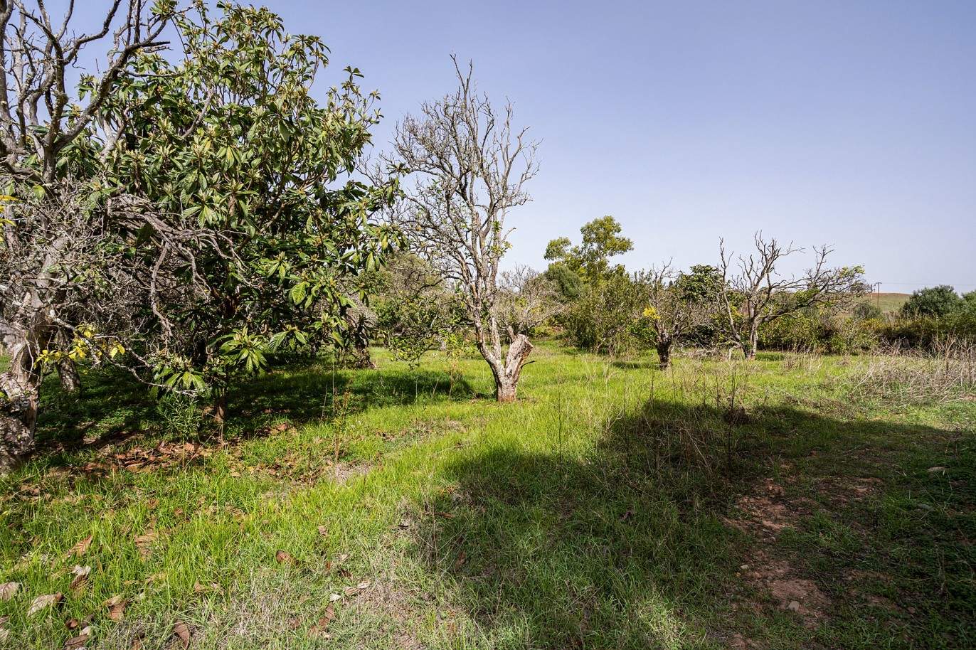 Plot with two ruins for sale in Bensafrim, Lagos, Algarve_210554