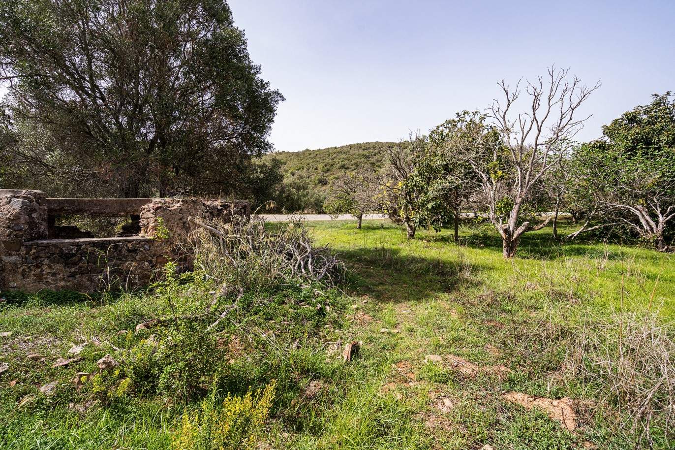 Plot with two ruins for sale in Bensafrim, Lagos, Algarve_210555