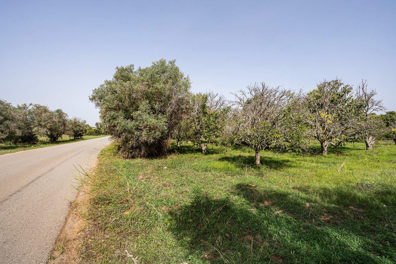Plot with two ruins for sale in Bensafrim, Lagos, Algarve_210556