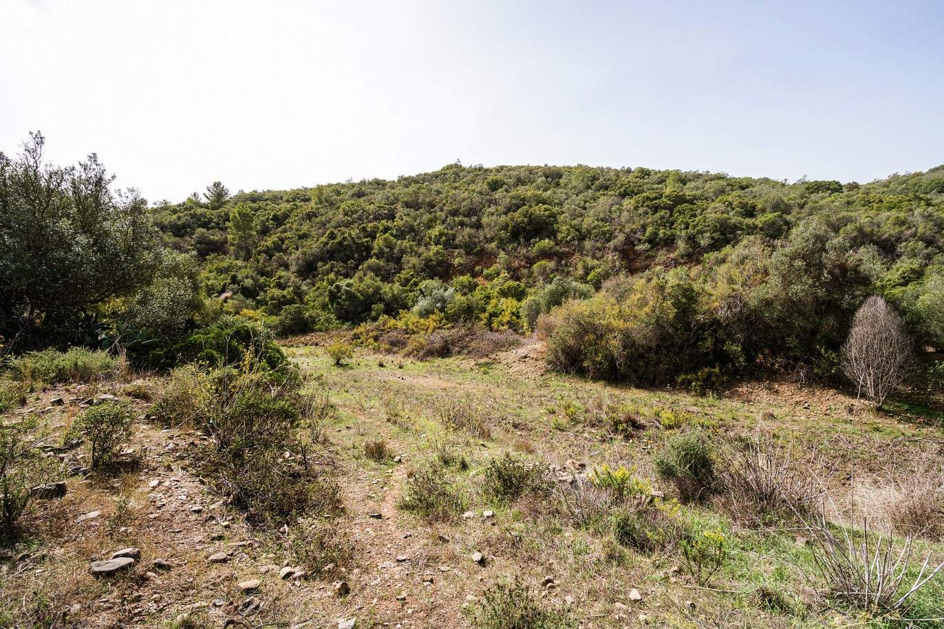 Plot with two ruins for sale in Bensafrim, Lagos, Algarve_210558