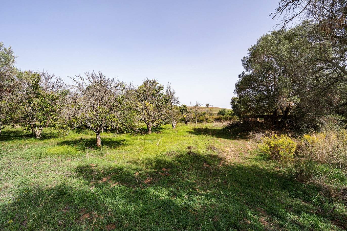 Plot with two ruins for sale in Bensafrim, Lagos, Algarve_210559