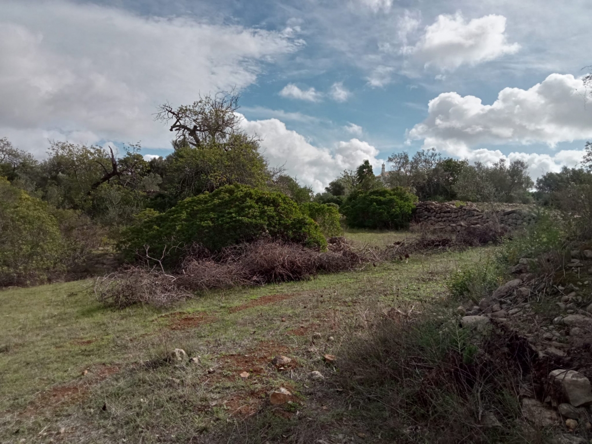Large plot of land with ruin, for sale in Estoi, Algarve_212207