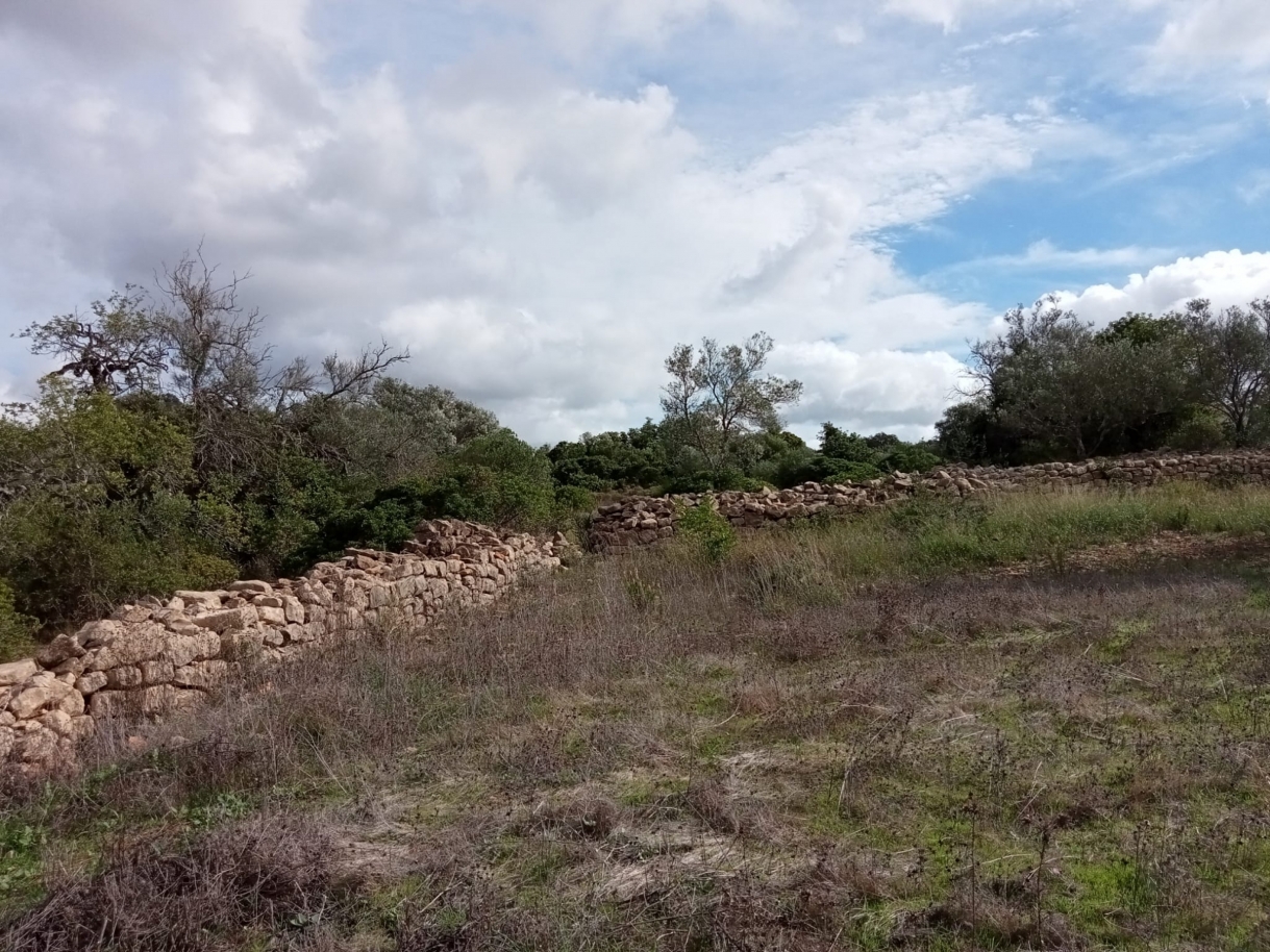 Gran parcela de tierra con la ruina, en venta en Estoi, Algarve_212208