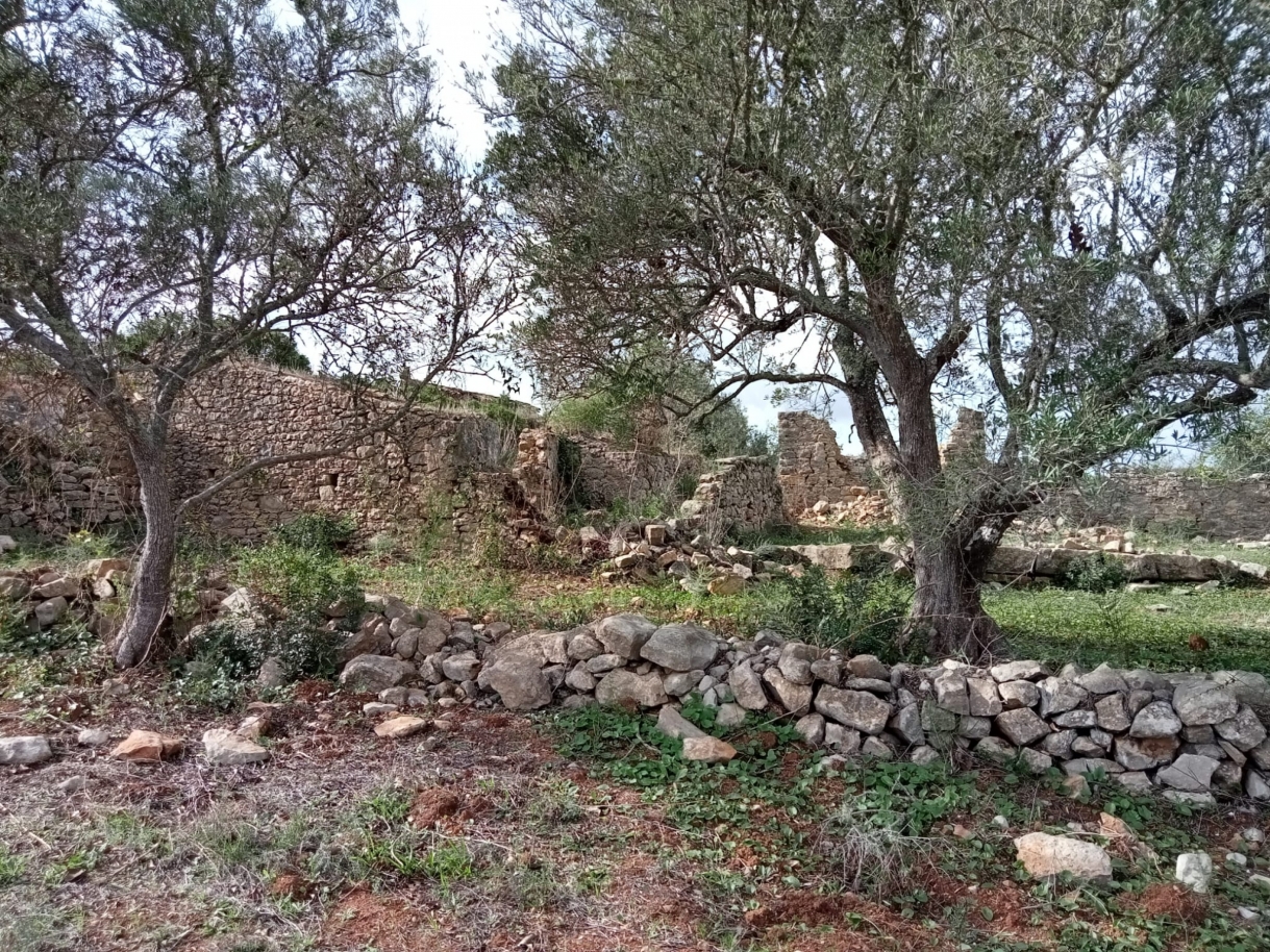 Grand terrain avec ruine, à vendre à Estoi, Algarve_212209